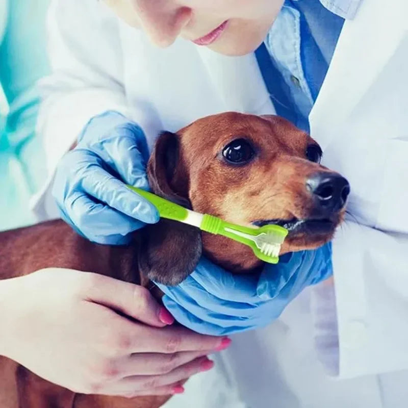 3-Sided Dog Toothbrush