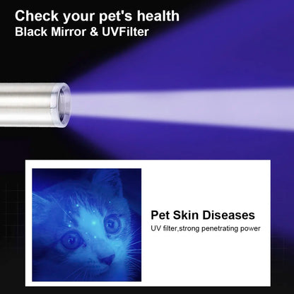 Pet Fungus Detection