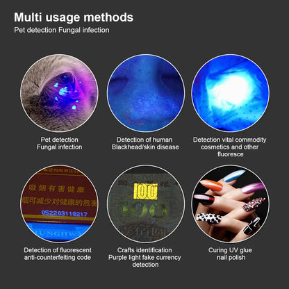 Pet Fungus Detection