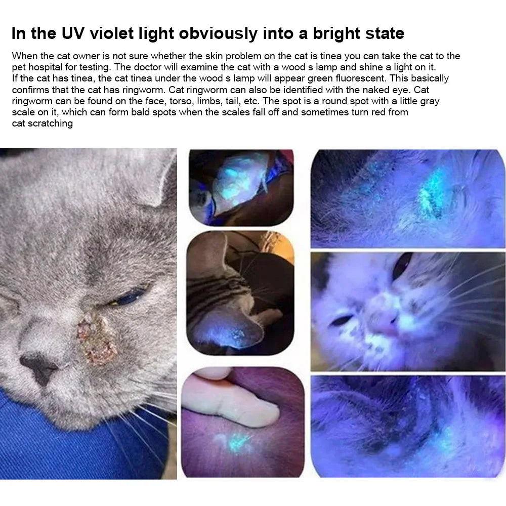 Pet Fungus Detection