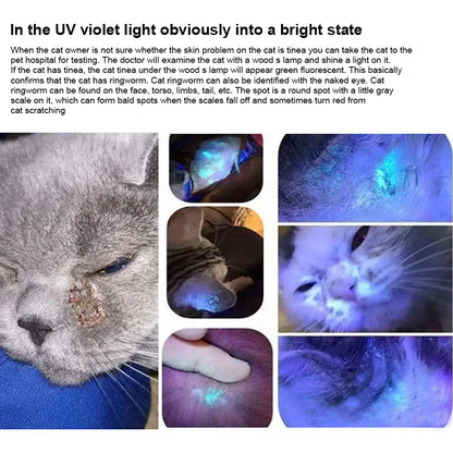 Pet Fungus Detection