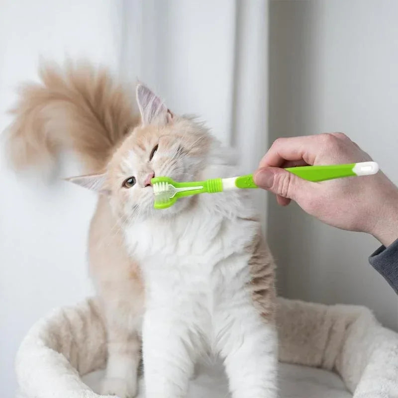 3-Sided Dog Toothbrush