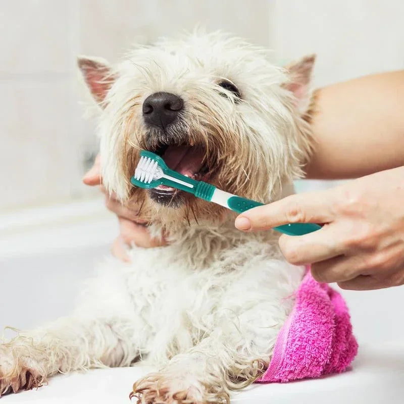 3-Sided Dog Toothbrush