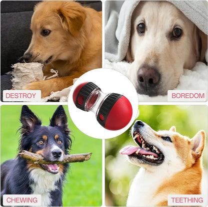 Dog Puzzle Toy