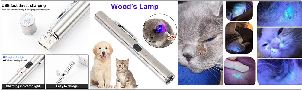 Pet Fungus Detection