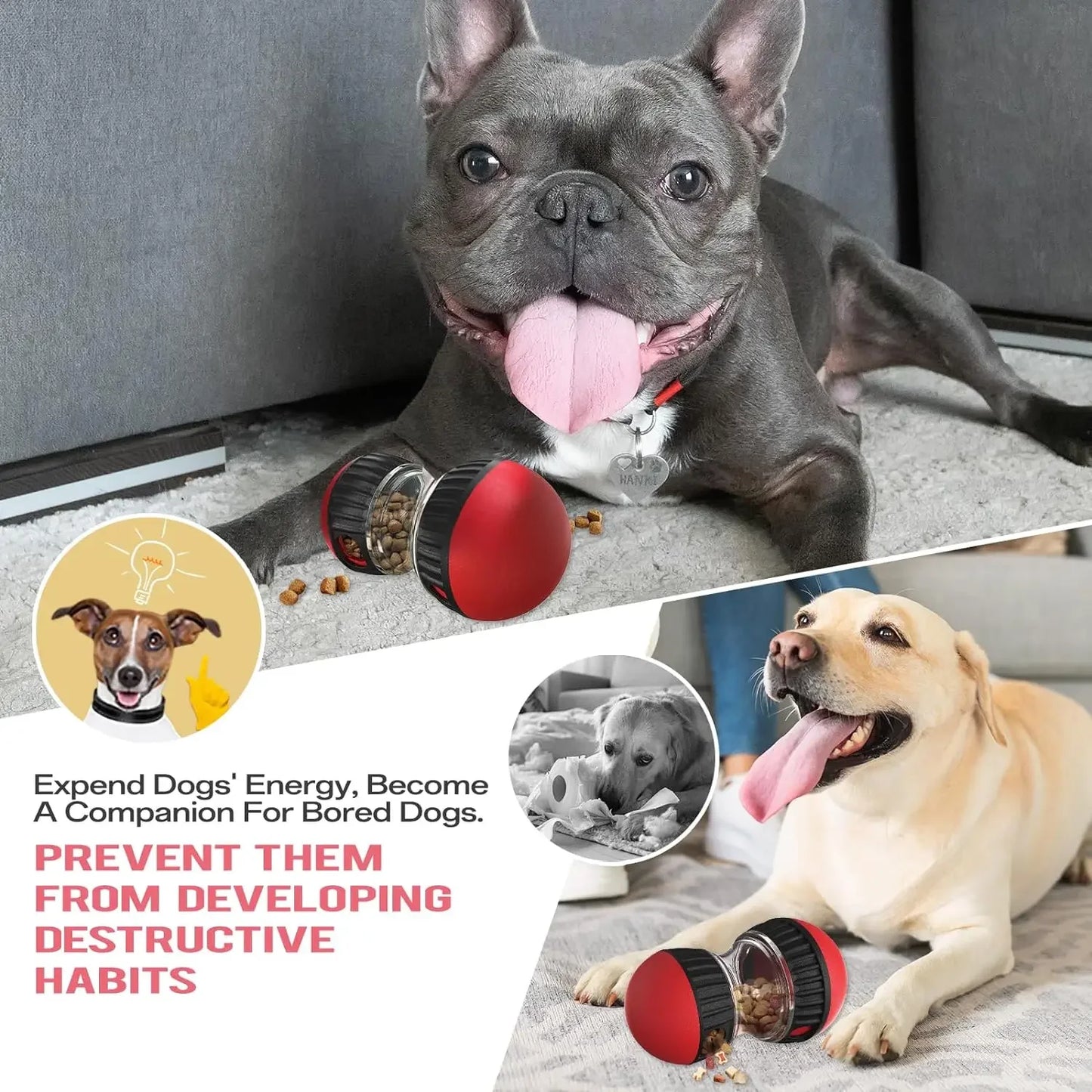 Dog Puzzle Toy
